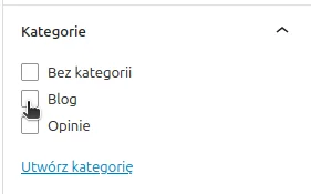 Screen: Wybór kategorii wpisu