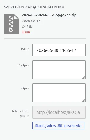 Panel Szczegóły załączonego pliku z tytułem, opisem i adresem URL pliku ZIP