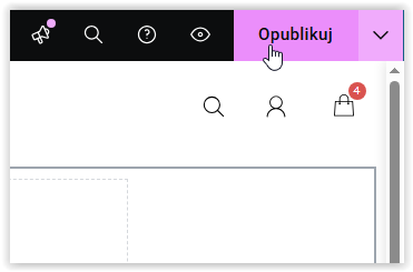 Publikacja w elementor