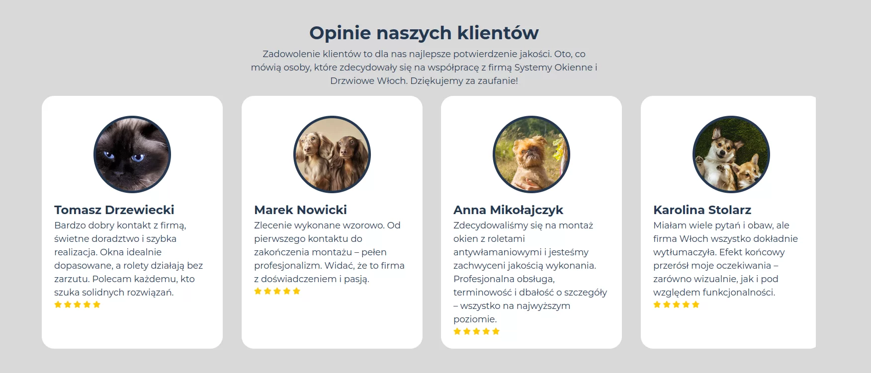 DC Reviews w jasnej wersji, idealnej dla minimalistycznych motywów, opinie prezentują się lekko i elegancko,