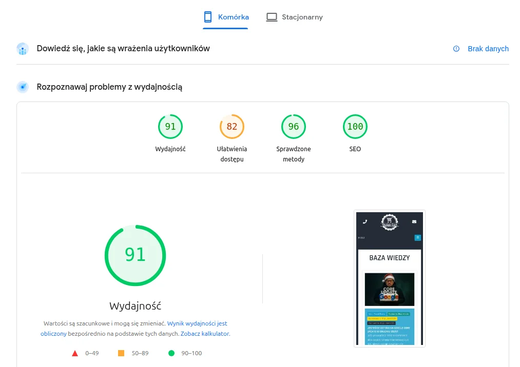 Screen Panelu PageSpeed Insights
