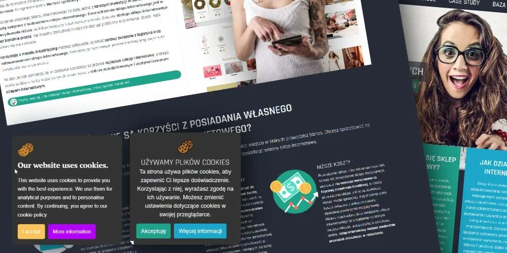 Screen prezentujący wygląd modułu DC Cookies